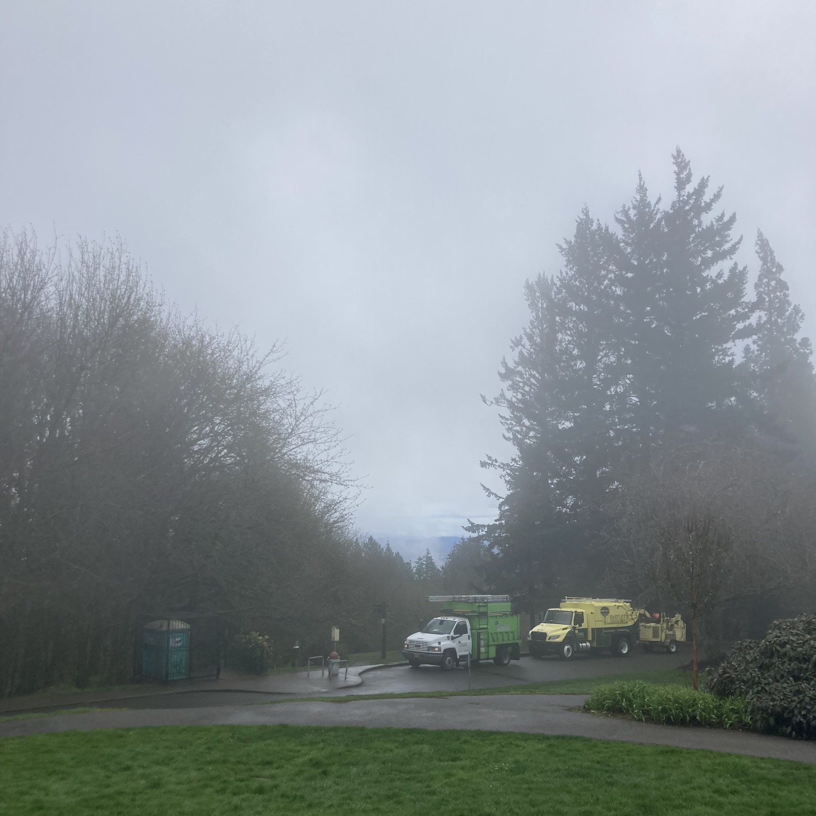 Hilltop park cloaked in fog. Two trucks and associated equipment are parked about 100' away, they are branded with “Bartlett Tree Experts”
