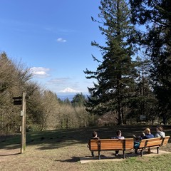 Four people sitting on benches, looking away from the camera toward mt hood