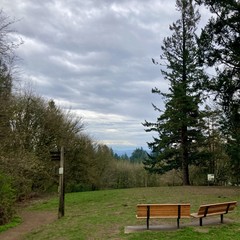Two empty park benches face an empty field near the top of a hill, looking east toward Mt. Hood, which is (surprisingly) quite visible under a deck of broken marine stratus clouds. A dark stand of tall Douglas first frames the right edge. To the left of the benches is a sign that reads “Marquam Trail”