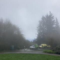 Hilltop park cloaked in fog. Two trucks and associated equipment are parked about 100' away, they are branded with “Bartlett Tree Experts”