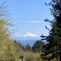 Mt. Hood on a very sunny day, with a single tiny cloud just blowing over its peak, and another high in the sky above it