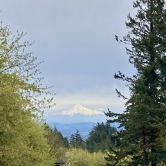 Mt. Hood, weirdly gray sky, sorry I don’t have more in me than this