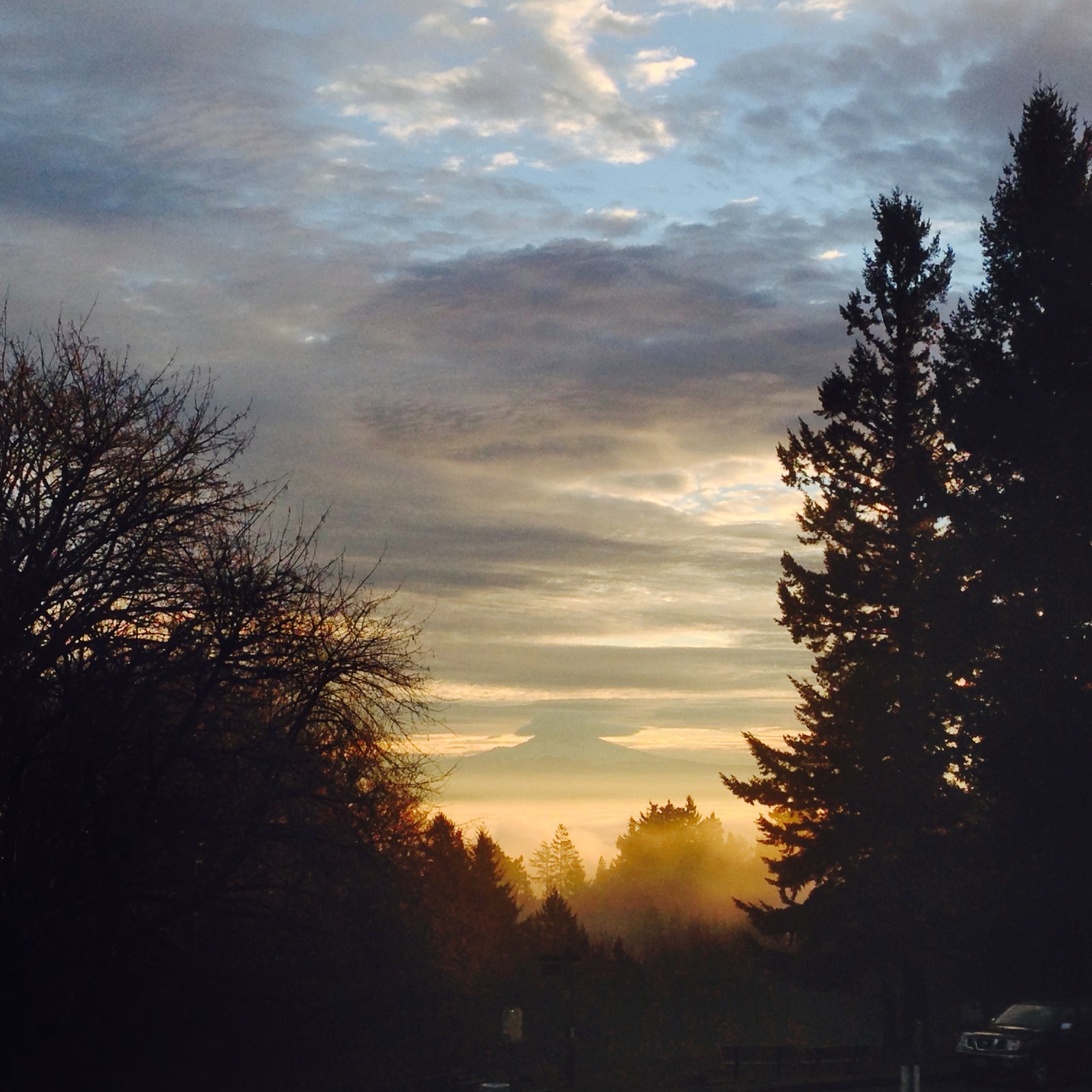 View from Council Crest toward Mt. Hood, which is visible