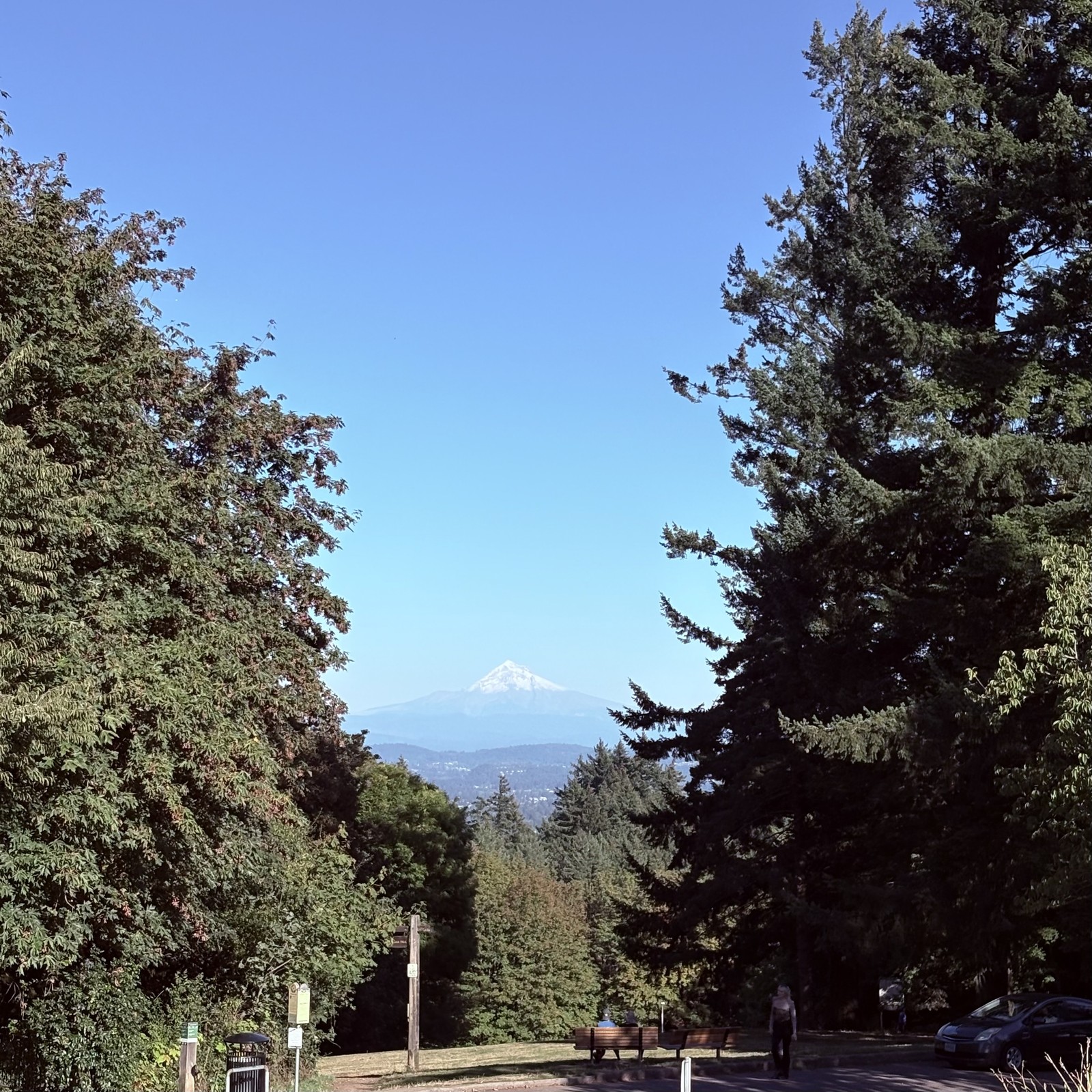 Fresh dusting of snow on the top of the mountain