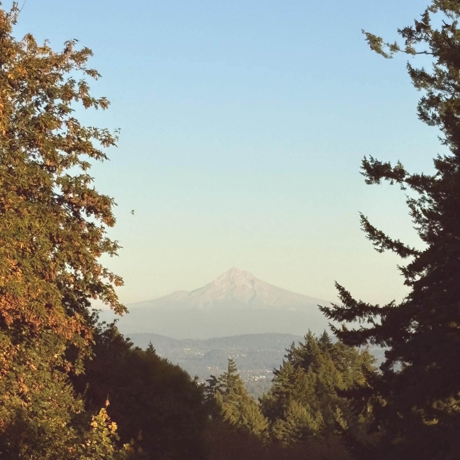 Mountain has no snow. At all.