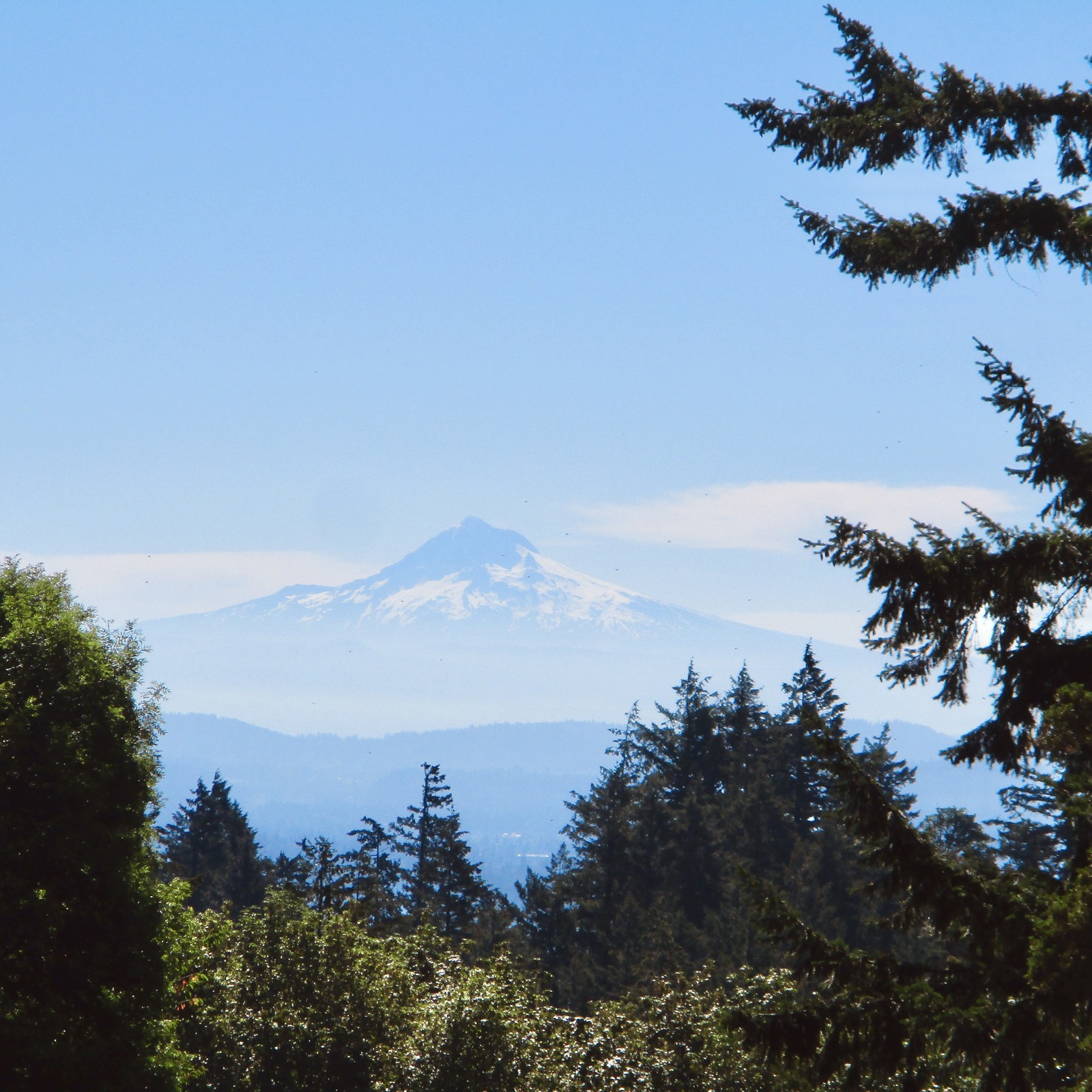 Mt. Hood on a slightly hazy, already quite hot summer day. Photo slightly zoomed to highlight some features of the glaciers — which are still quite full
