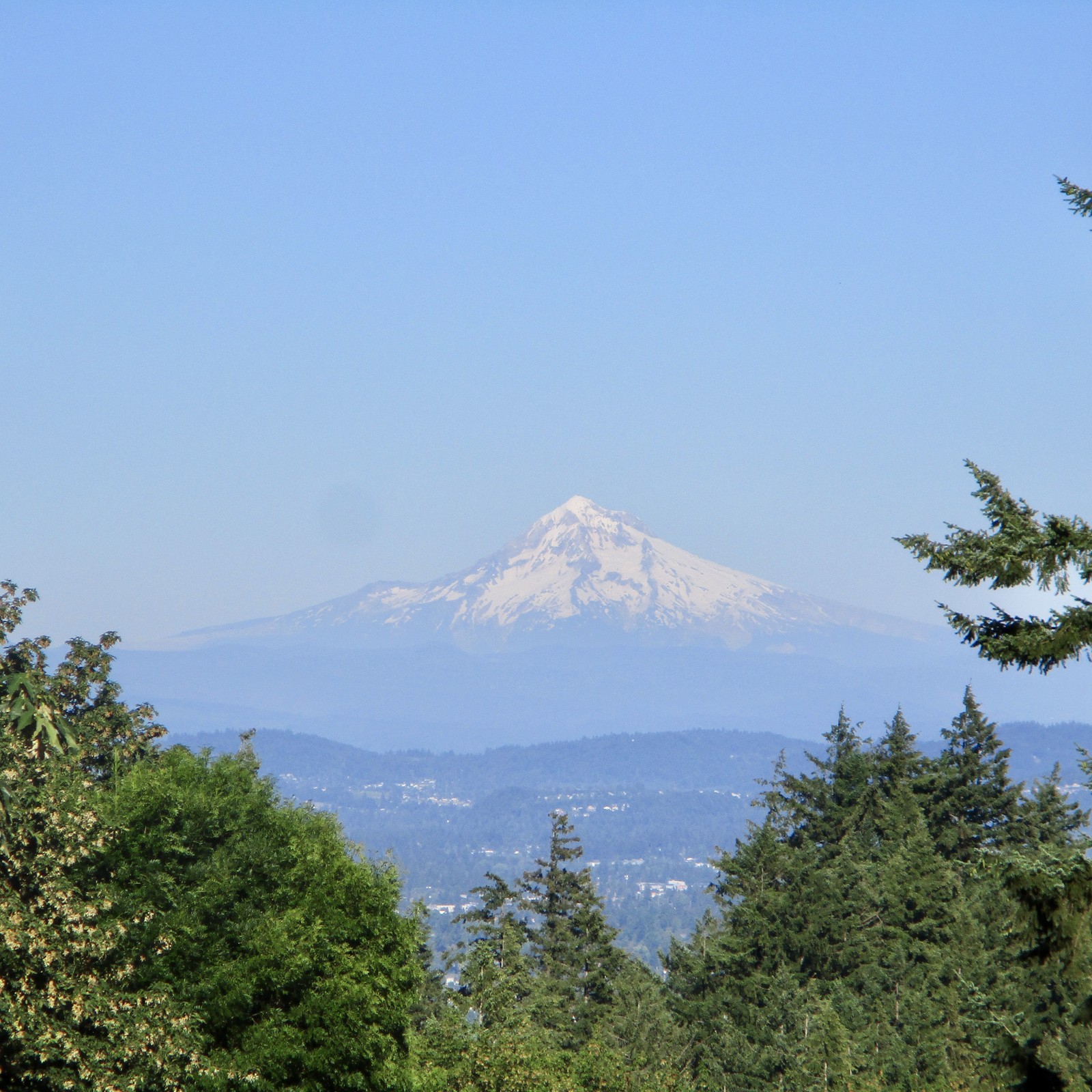 Mt. Hood in high relief on a very clear, very hot, late summer afternoon