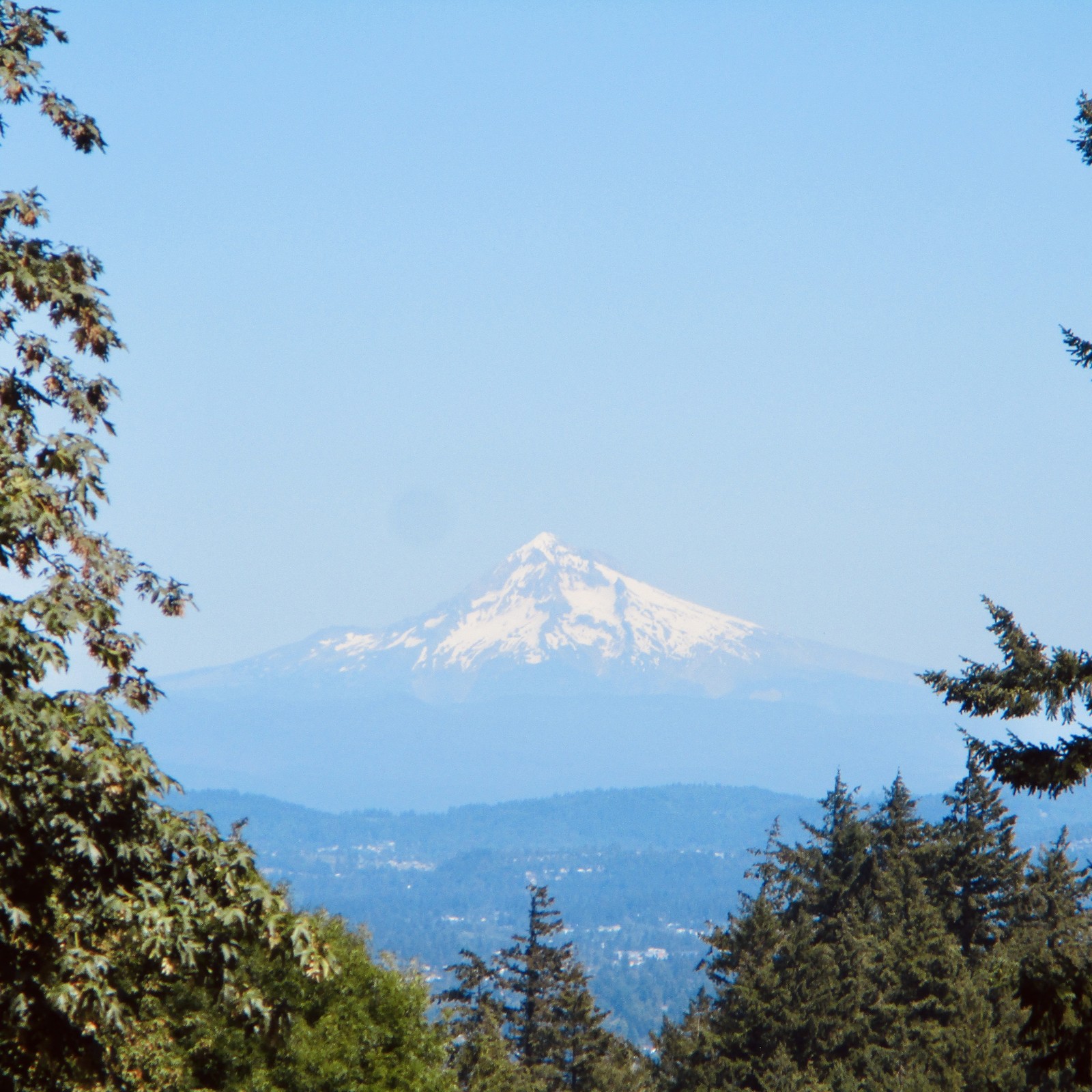 A lone volcanic peak towers over fir-clad foothills. Edited to impart a retro effect reminiscent of Kodachrome slides