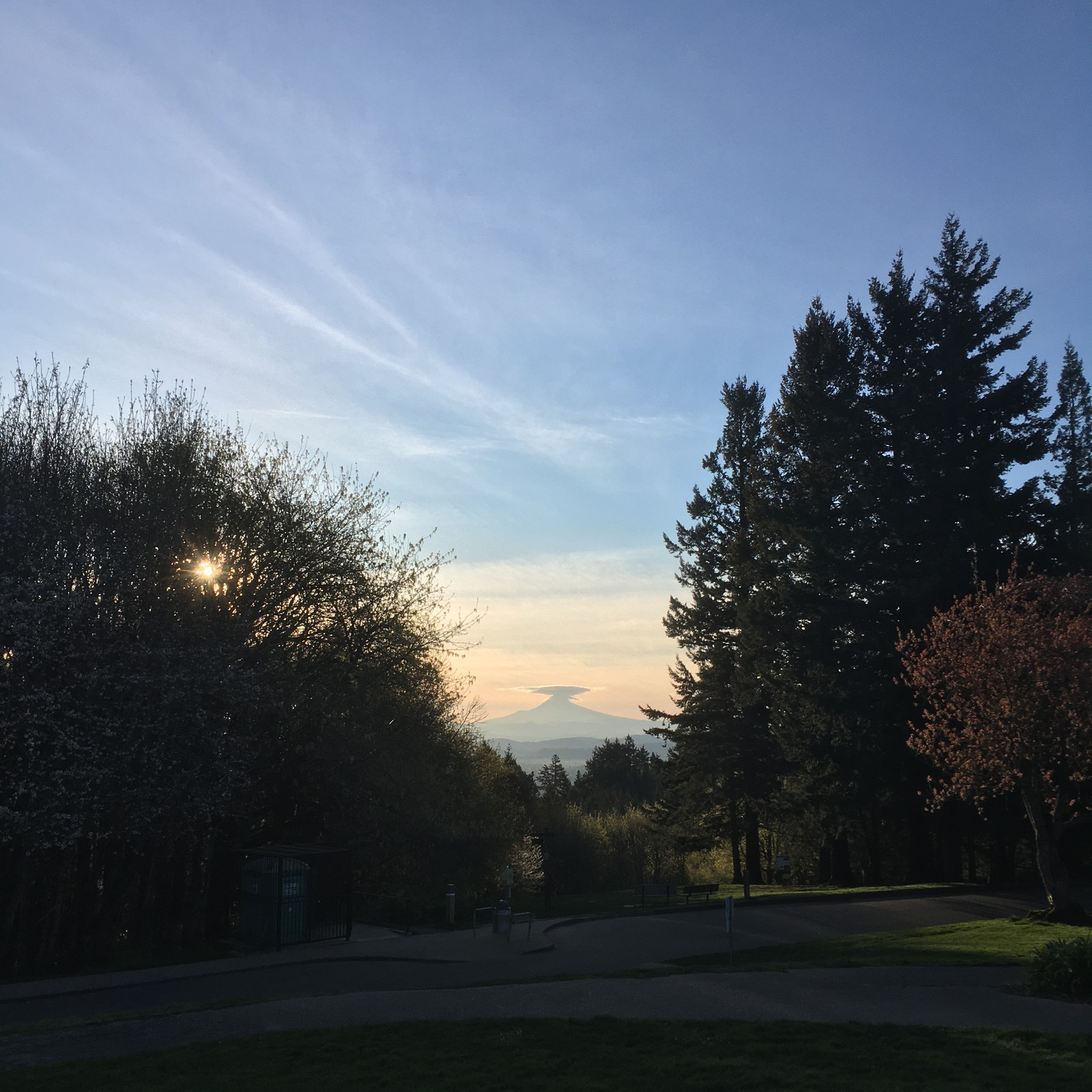 View from Council Crest Park toward Mt. Hood, which is visible in a late spring sunrise. A lenticular cloud encircles the very top of the mountain
