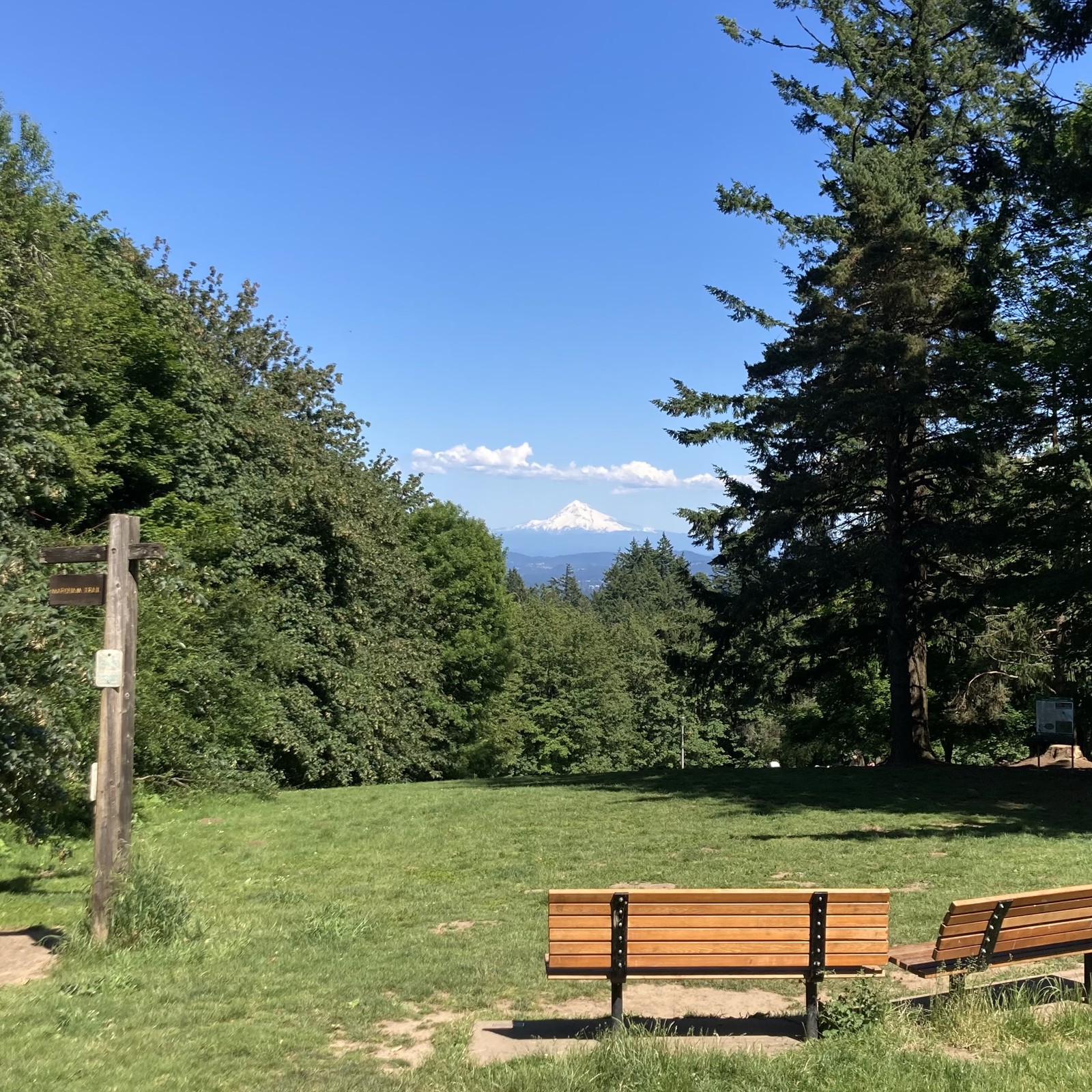Two empty park, benches faced Mount hood, which is still snowy, despite being almost the first day of summer