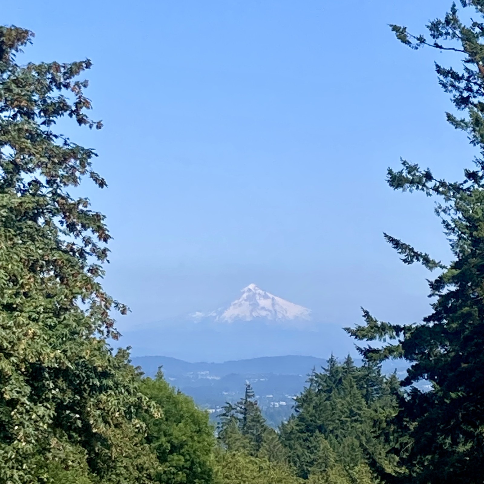 Lone volcanic mountain in late afternoon in summer