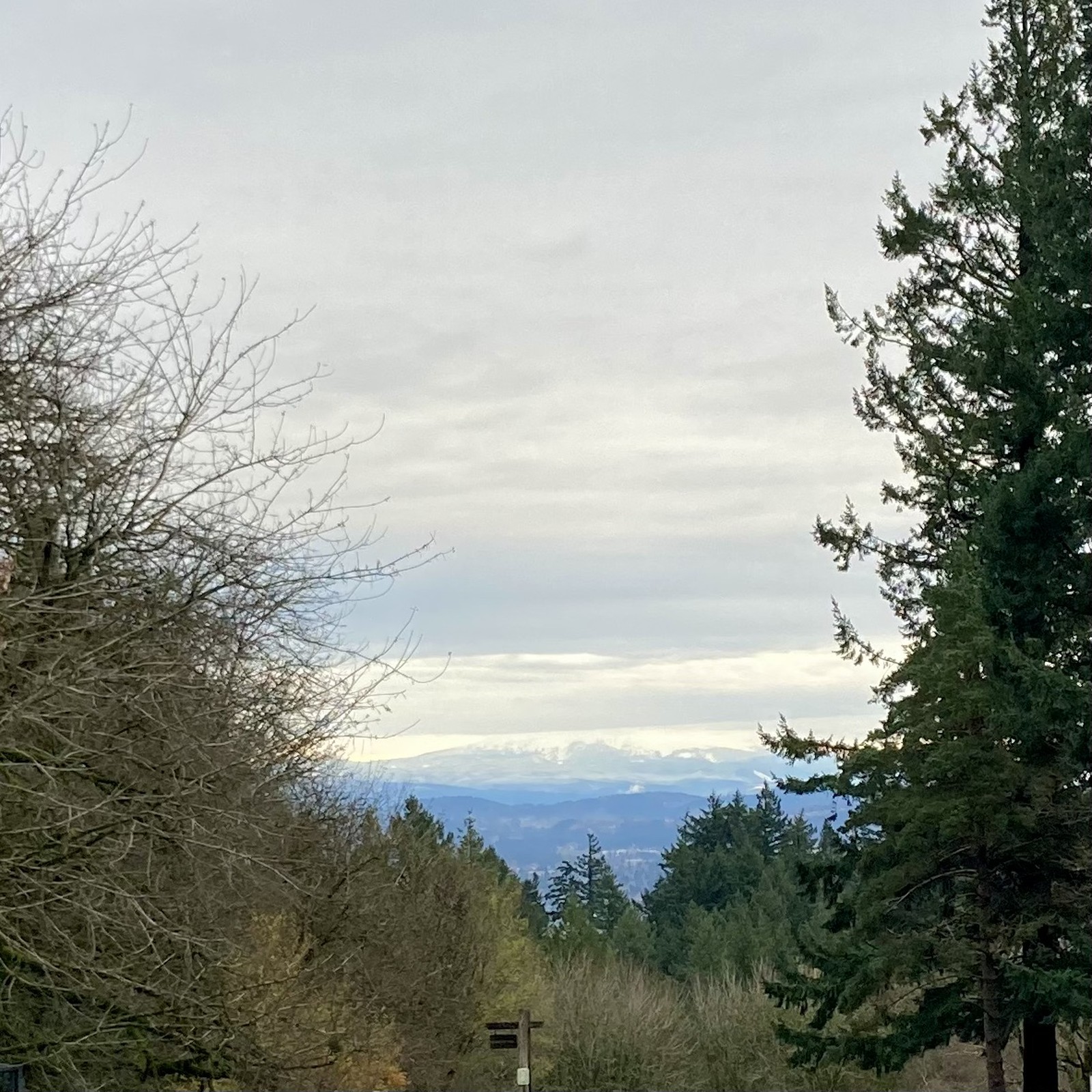 View from Council Crest Park toward Mt. Hood, the snowy base and foothills of which are visible. A thick layer of stratus (flat, gray) clouds obscures the mountain’s peak. To the east of the mountain is clear sky