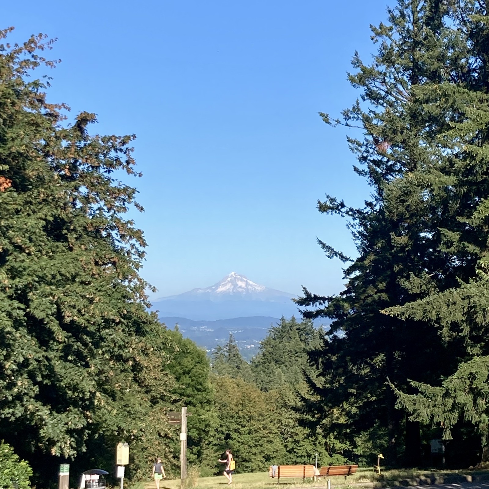 Lone volcanic peak in late afternoon on a very clear summer day