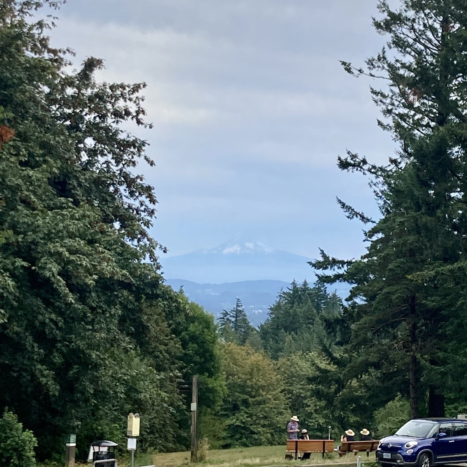 Difficult to describe this weather & sky. A steel gray “high deck” of stratus clouds stretches from just above the mountain to cover the entire sky. Mt. Hood is visible, dimly below this cloud deck. It is not especially hot, neither is it terribly cool. It is neither dry nor humid. The wind isn’t dead but it isn’t windy either. About 80°F, 45% humidity. It’s like tepid spit. The plants are vivid, the air smells of vegetation. In the foreground a group of middle aged white people in straw hats mill about park benches.