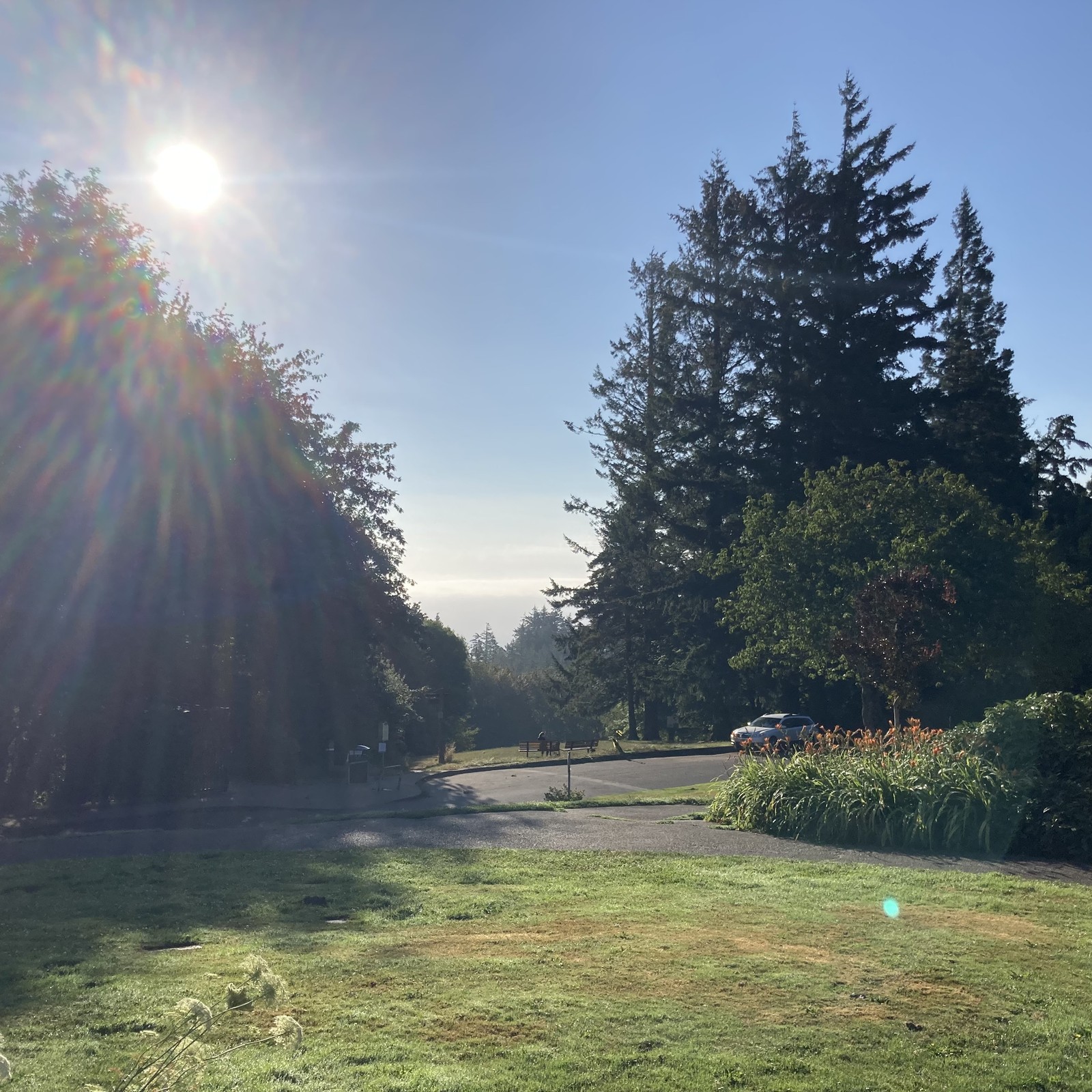 Looking east toward Mt Hood, which is (mostly) obscured by a “marine layer” of river-effect clouds retreating inland as the city warms. A proper 20th century late summer morning. Strictly speaking I could see the mountain with my human eyes, but neither camera (I brought 2) could make it out through the haze.