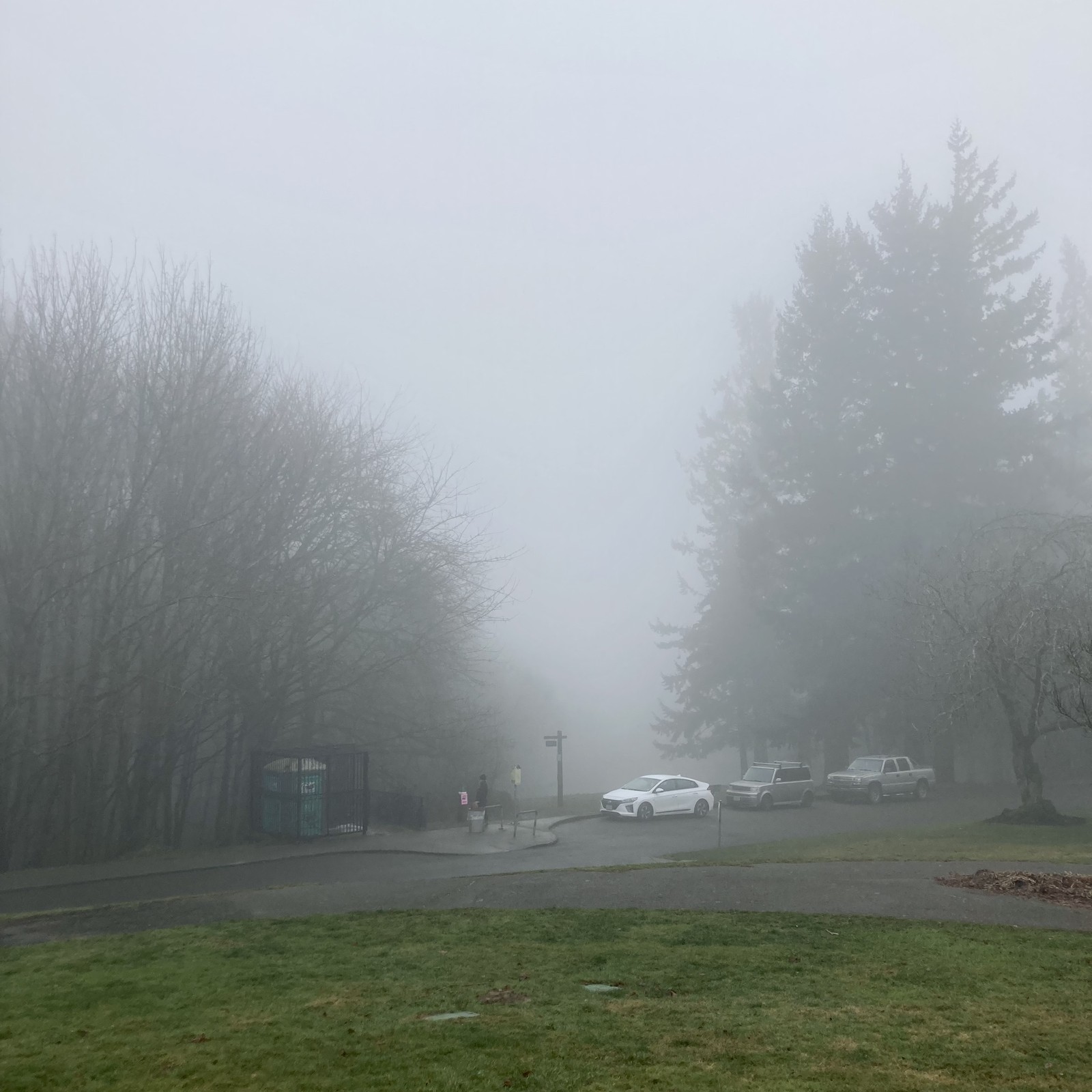 “View” from Council Crest Park toward Mt Hood, which is completely obscured by a thick cloud hanging over the hill on which the park sits. 3 cars are parked in the near midground, blurry in the mist. A lone person stands near a portapotty at the same distance, reading a sign.