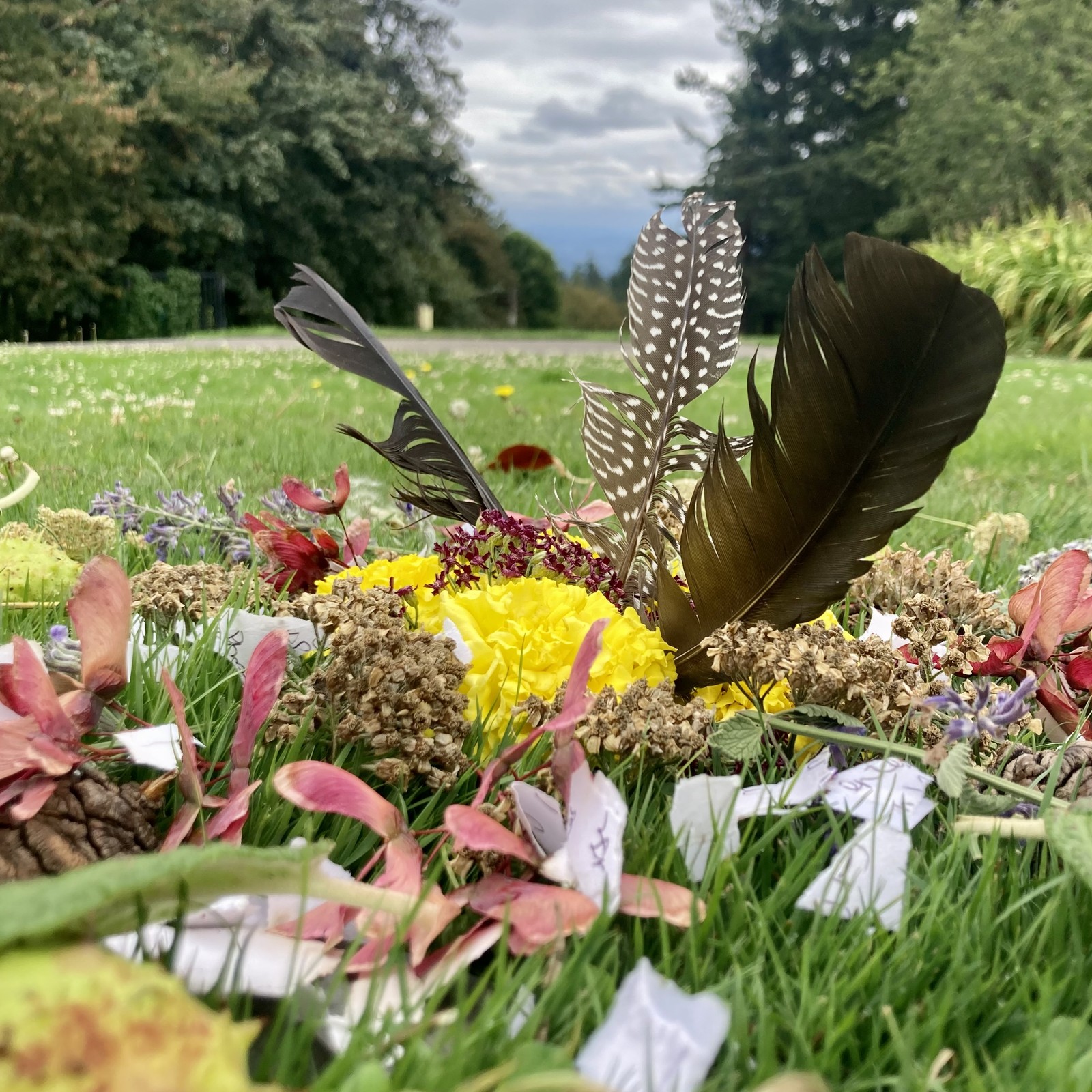 Low perspective closeup of a carefully arranged mandala of feathers, flowers, and shreds of paper; on a hilltop lawn with the cloudy horizon out of focus behind