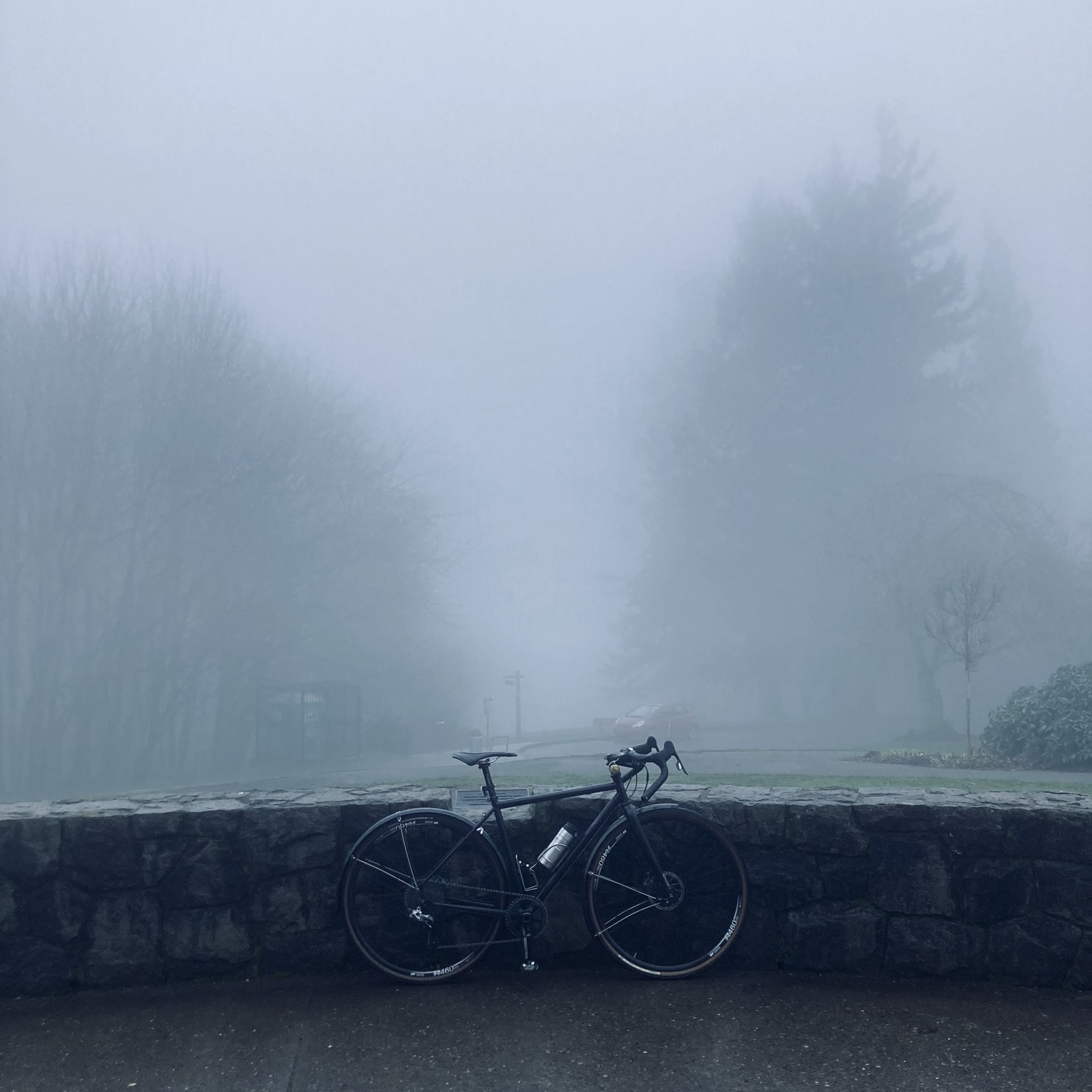 View from Council Crest Park toward Mt. Hood, which is very extremely not visible. A heavy fog limits visibility to perhaps 100'. A line of Douglas Firs at that distance are mere silhouettes. In the foreground a bicycle leans against the stone retaining wall. Every surface is damp, the air is stagnant and cool.