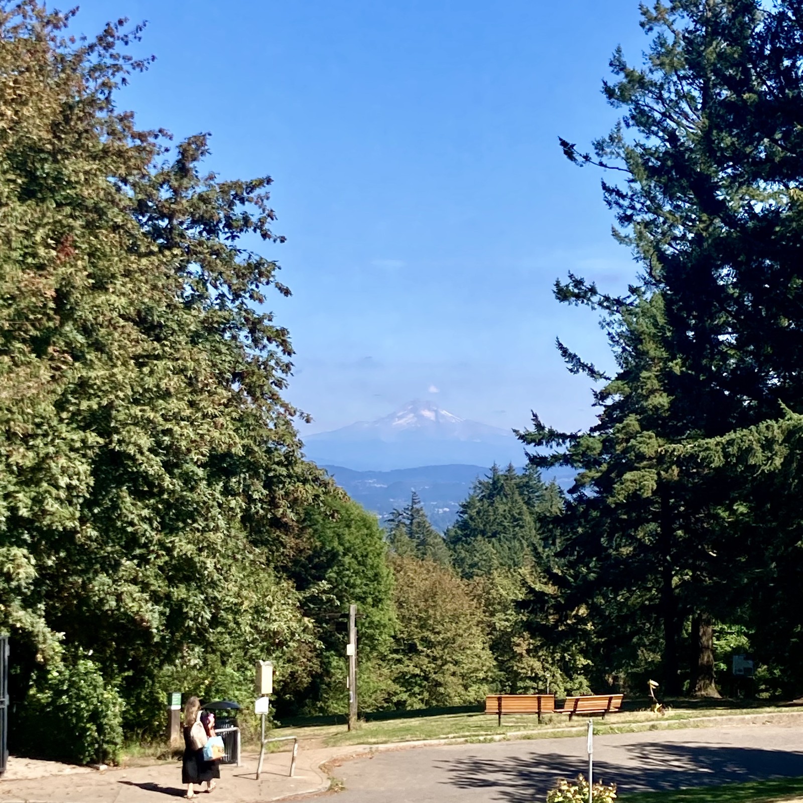 Mount Hood almost devoid of snow. Brilliant late afternoon/late summet sky. Morning clouds and haze have retreated east across the cascades