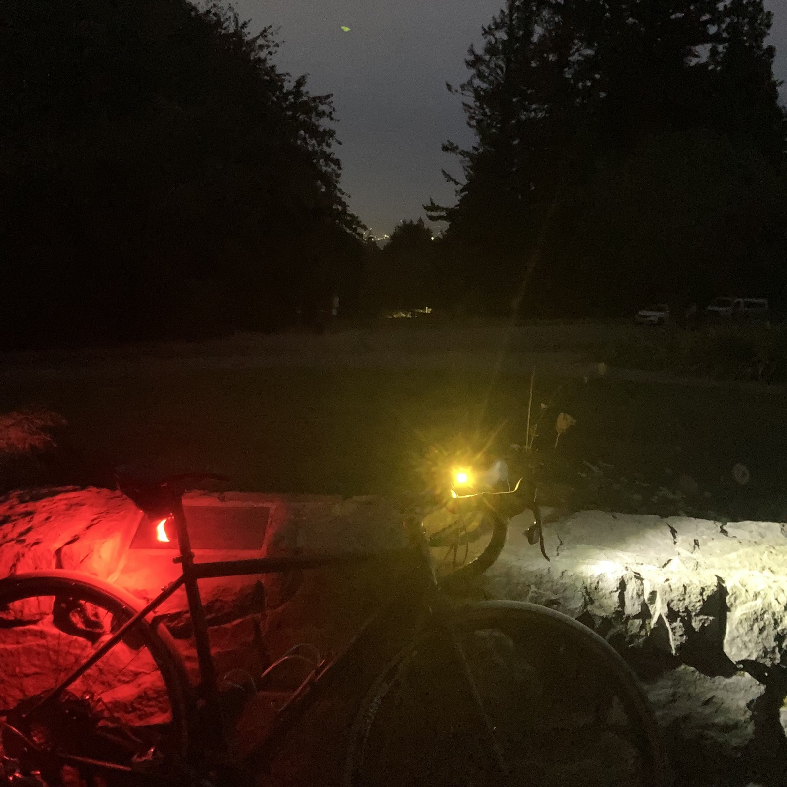 Dusk. A bicycle with bright head and tail lights leans against a low stone wall at the top of a hill. Two stands of trees frame city lights in the distance