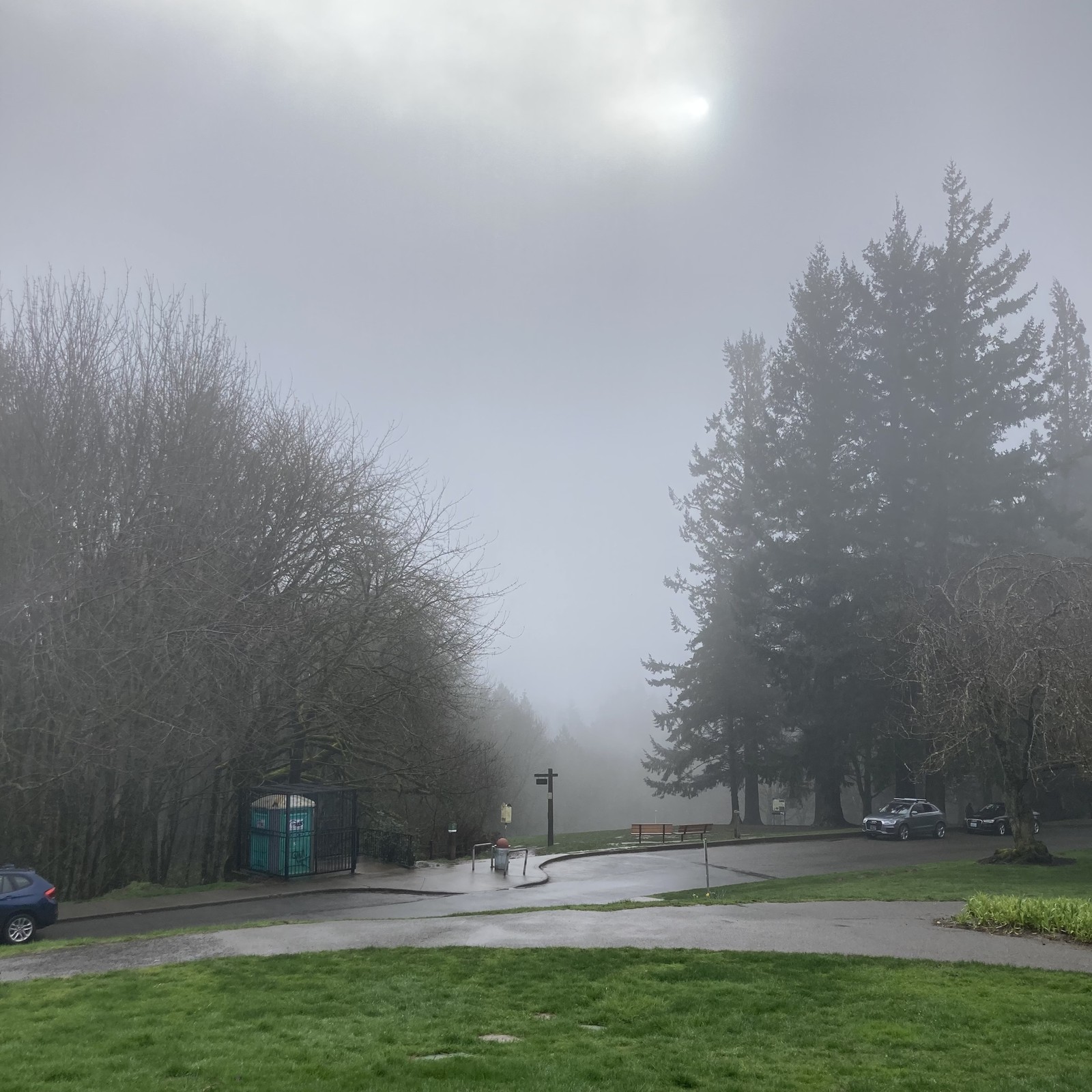View from Council Crest Park toward Mt. Hood, which is hidden behind many layers of mist and cloud. The sun shines weakly through a thin patch in the moisture