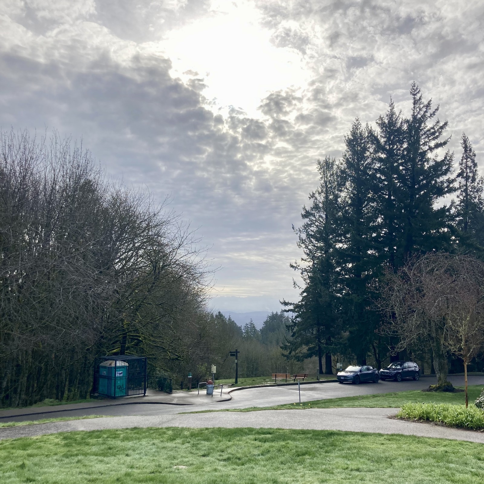 View from Council Crest Park toward Mt. Hood, which is not visible behind a scattered deck of high altitude clouds. The air is not WARM, exactly, but warmer than it has been! It smells like spring: green shoots, wet moss, daphne