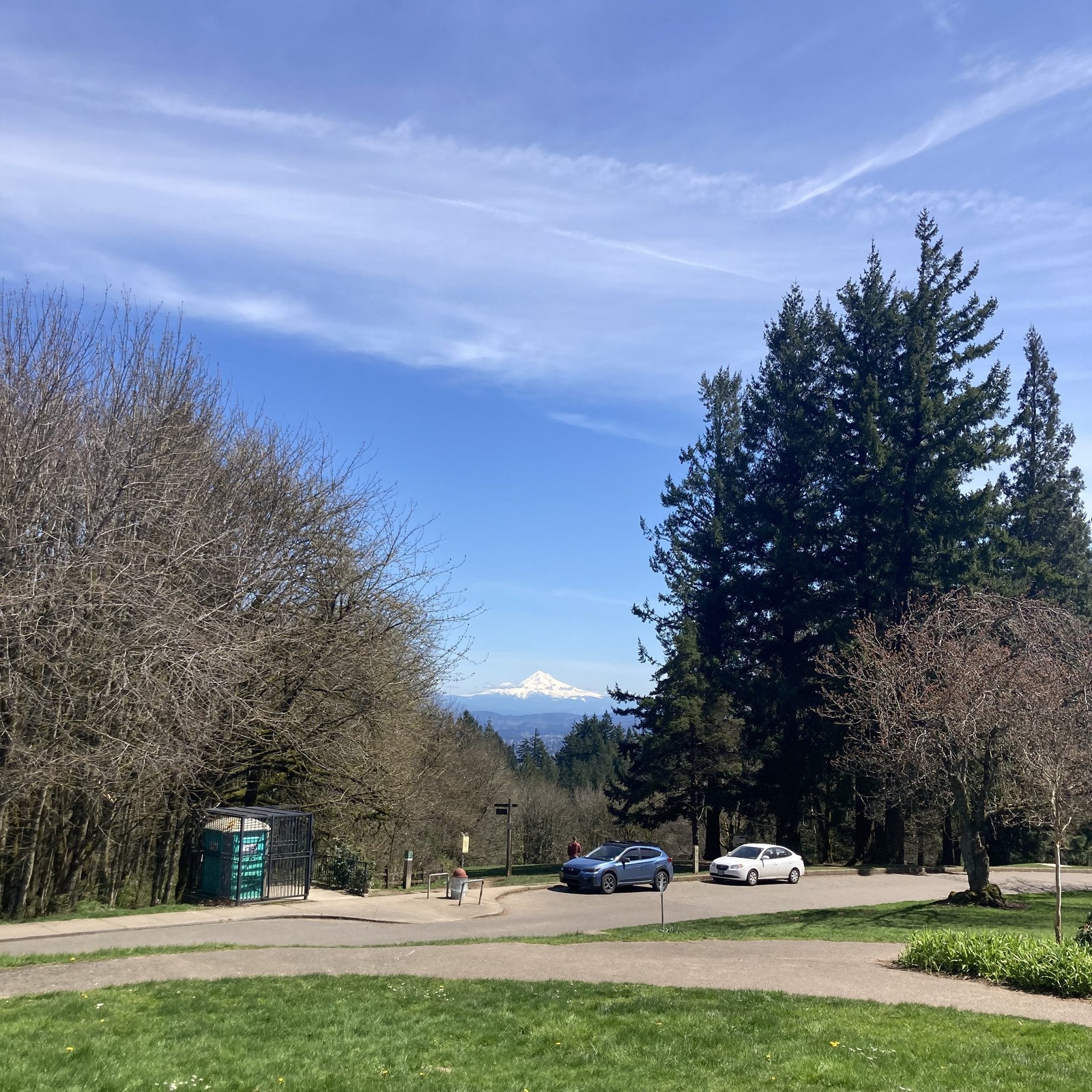 Mt. Hood from Council Crest Park. A sparkling clear day, with a few small clouds low and clinging to the lower limbs of the mountain, which is brilliant with snow. The weather is appropriate for late April but the vegetation is many weeks behind