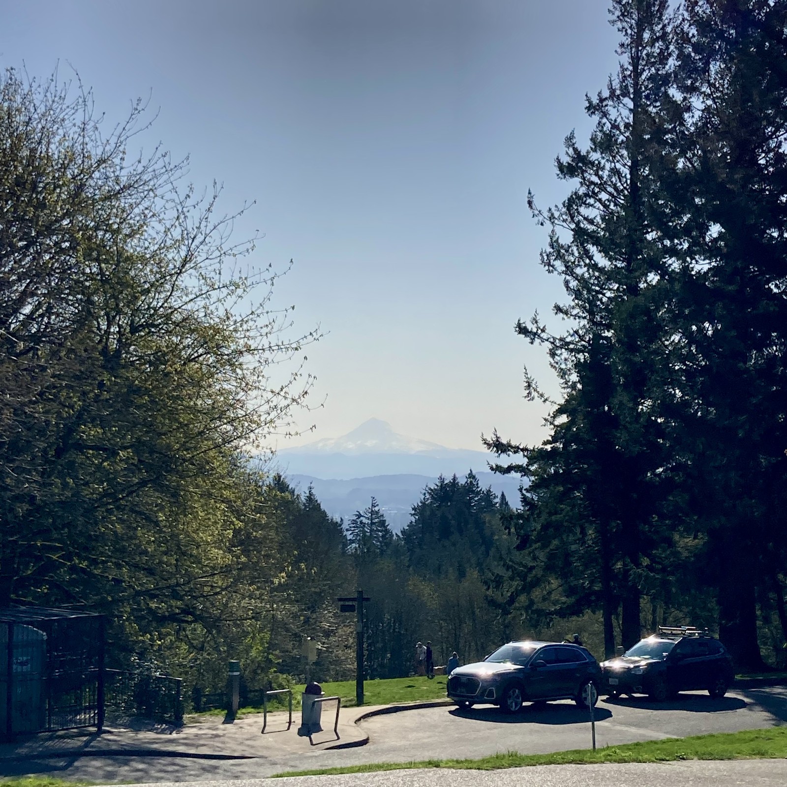 View of Mt. Hood from Council Crest park, zoomed slightly so the mountain appears larger. The sky is completely clear of clouds and the mountain is covered with snow. In the near mid-ground, on a grassy field behind some parked cars, is a small group of people and dogs