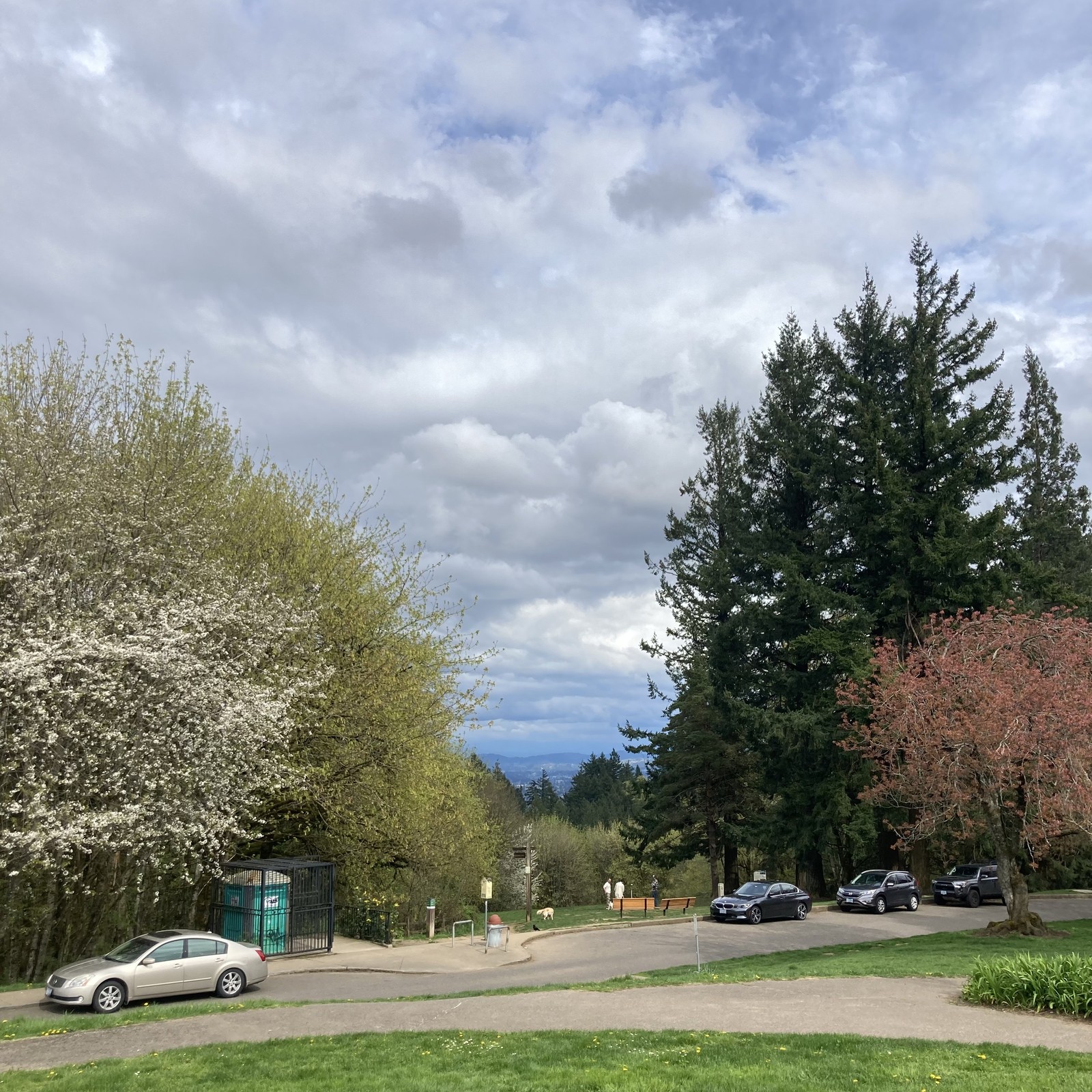 View from Council Crest Park toward Mt. Hood, which behind a colorful sky full of clouds scudding from the southwest. Two trees in the foreground are in full bloom. About 100' downslope a dog and a crow stand near a sign; three people stand nearby talking