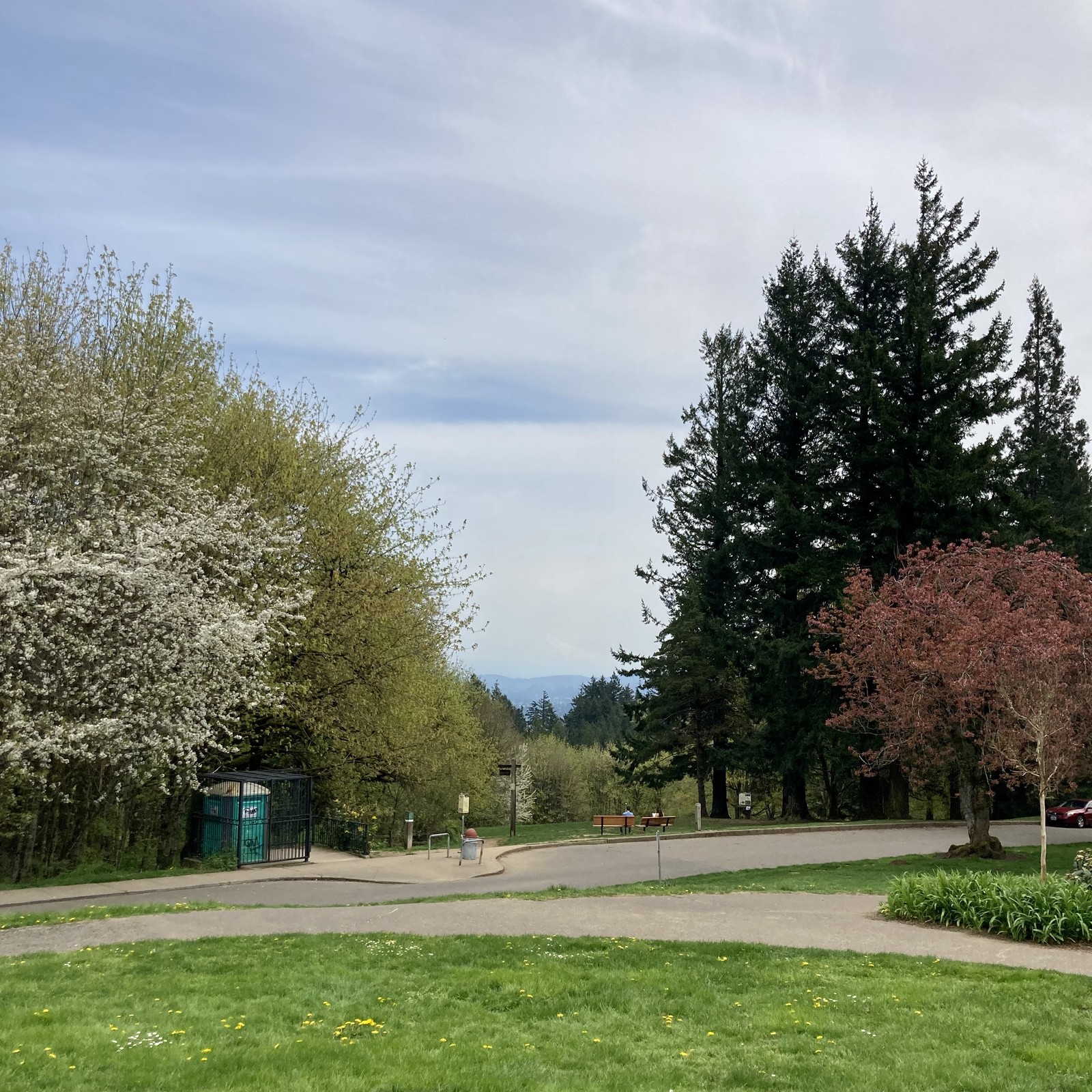 View from Council Crest Park toward Mt. Hood, the outline of which is very faintly apparent in a hazy spring sky. My eyes could see it better than my camera today