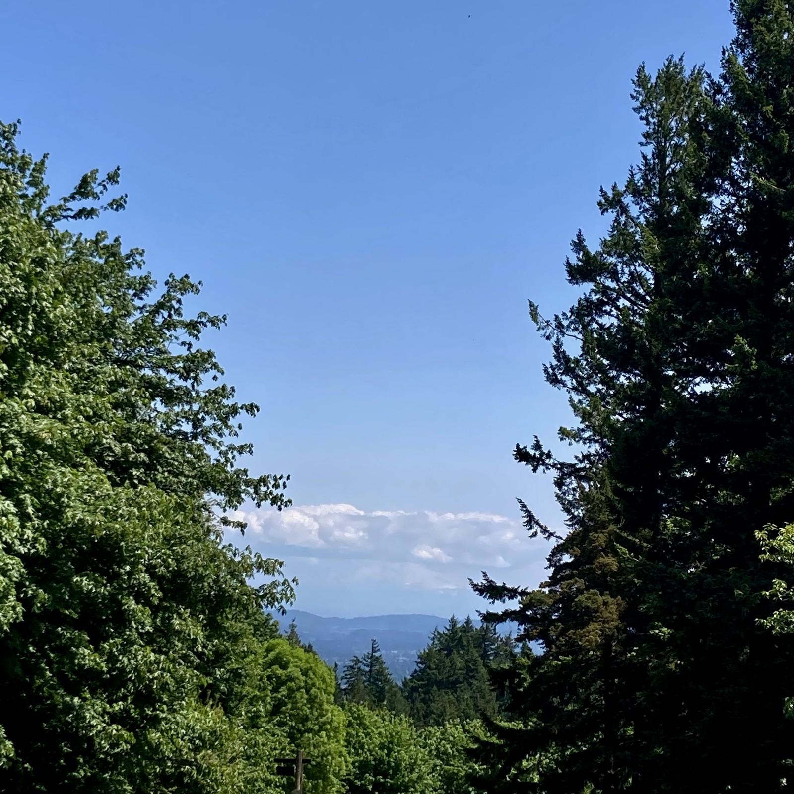 Mt Hood glowers under a dark cloud in an otherwise sunny sky. Taken from Council crest park