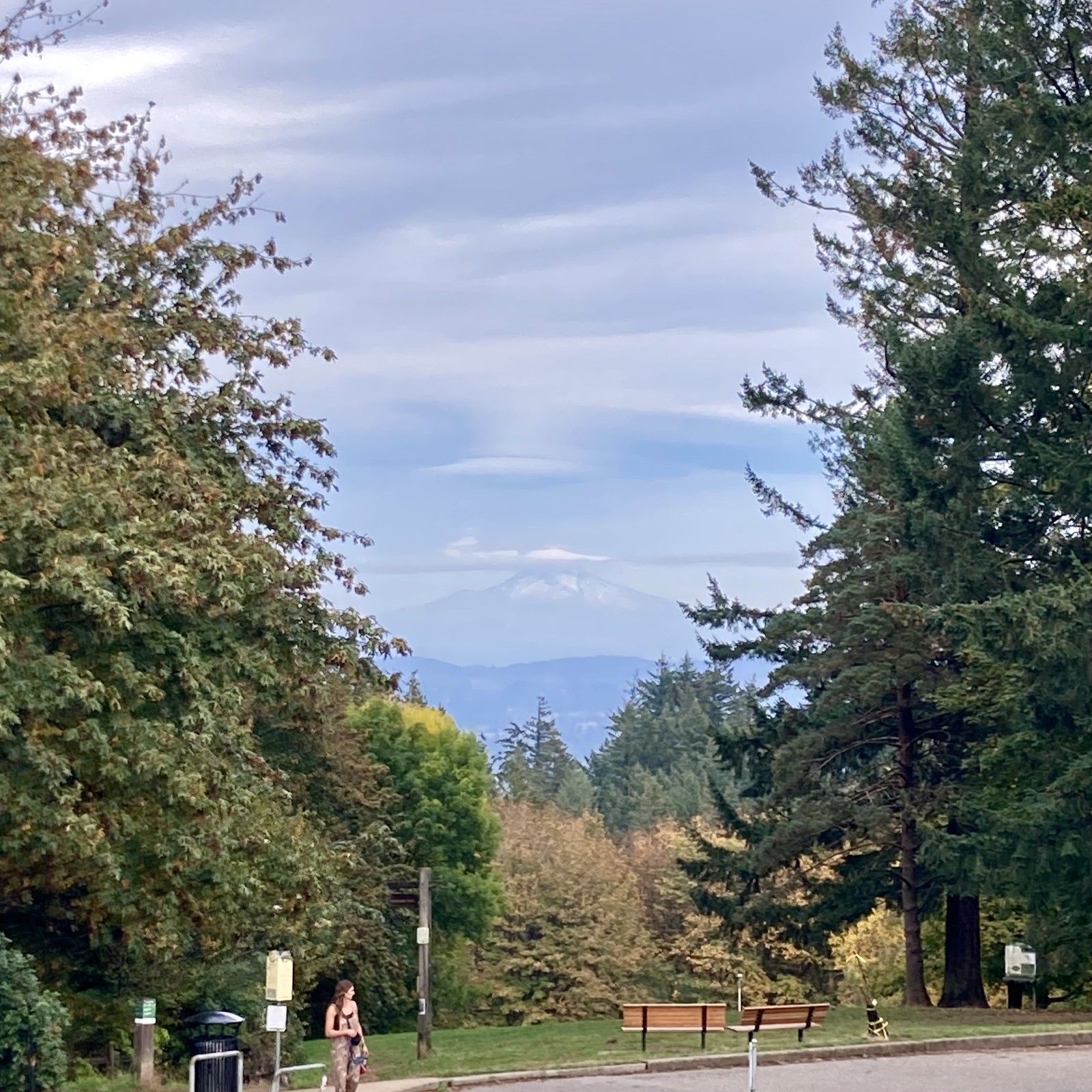 Mount Hood wears two lenticular clouds: one like a hat, another like a halo. Silvery fall sky, late afternoon