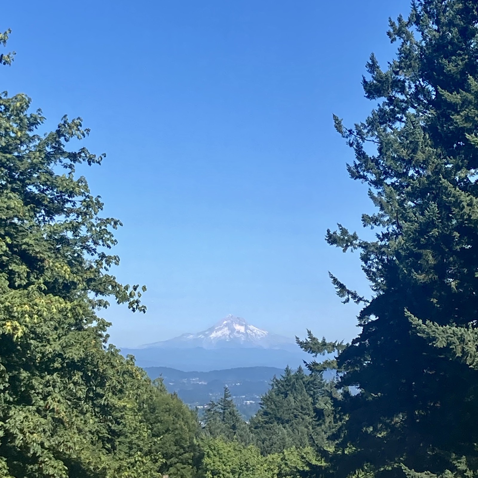 Mount hood as seen from Council Crest Park. The mountain is sharp under a clear, hot summer sky