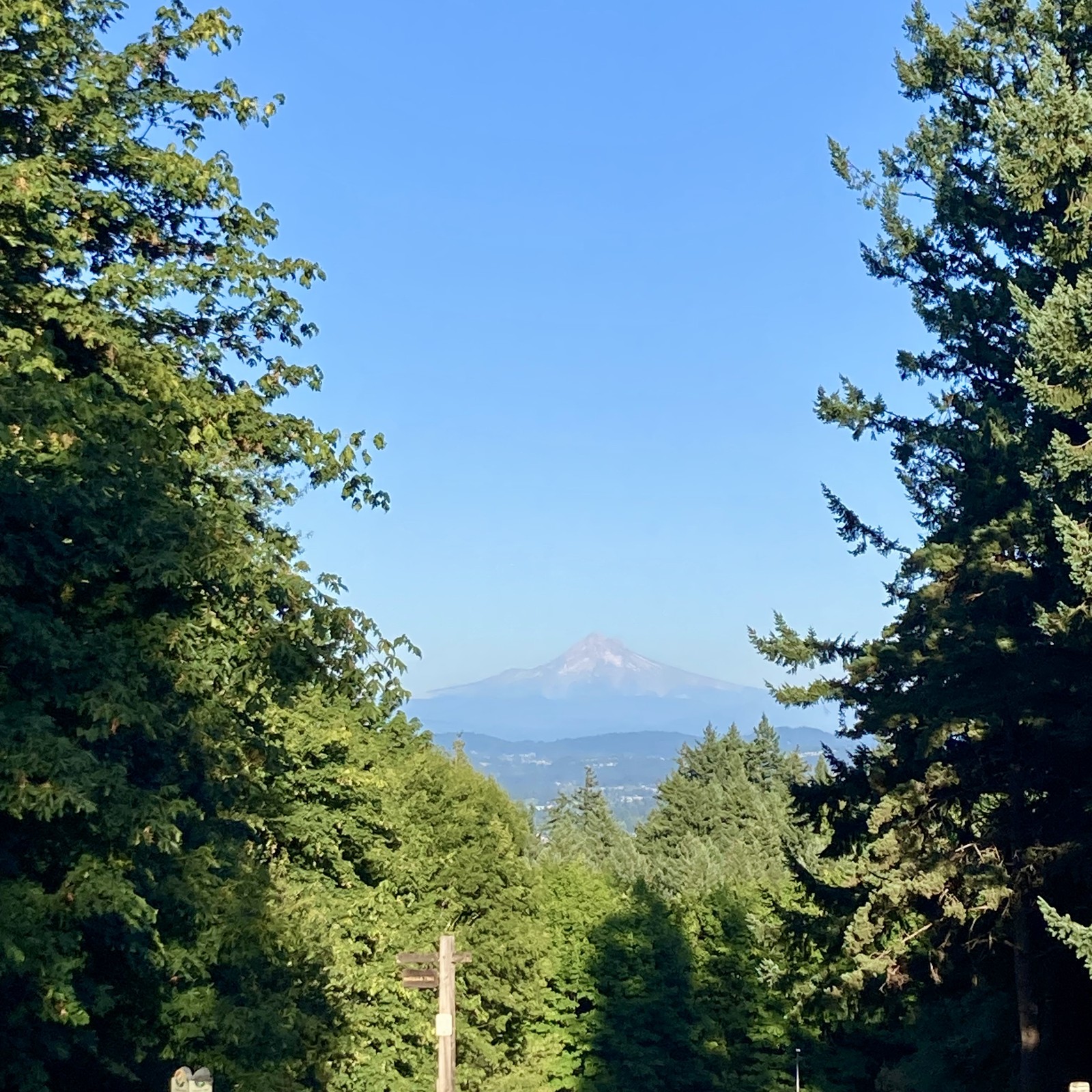 Mt. Hood from Council Crest on a very clear late afternoon in August