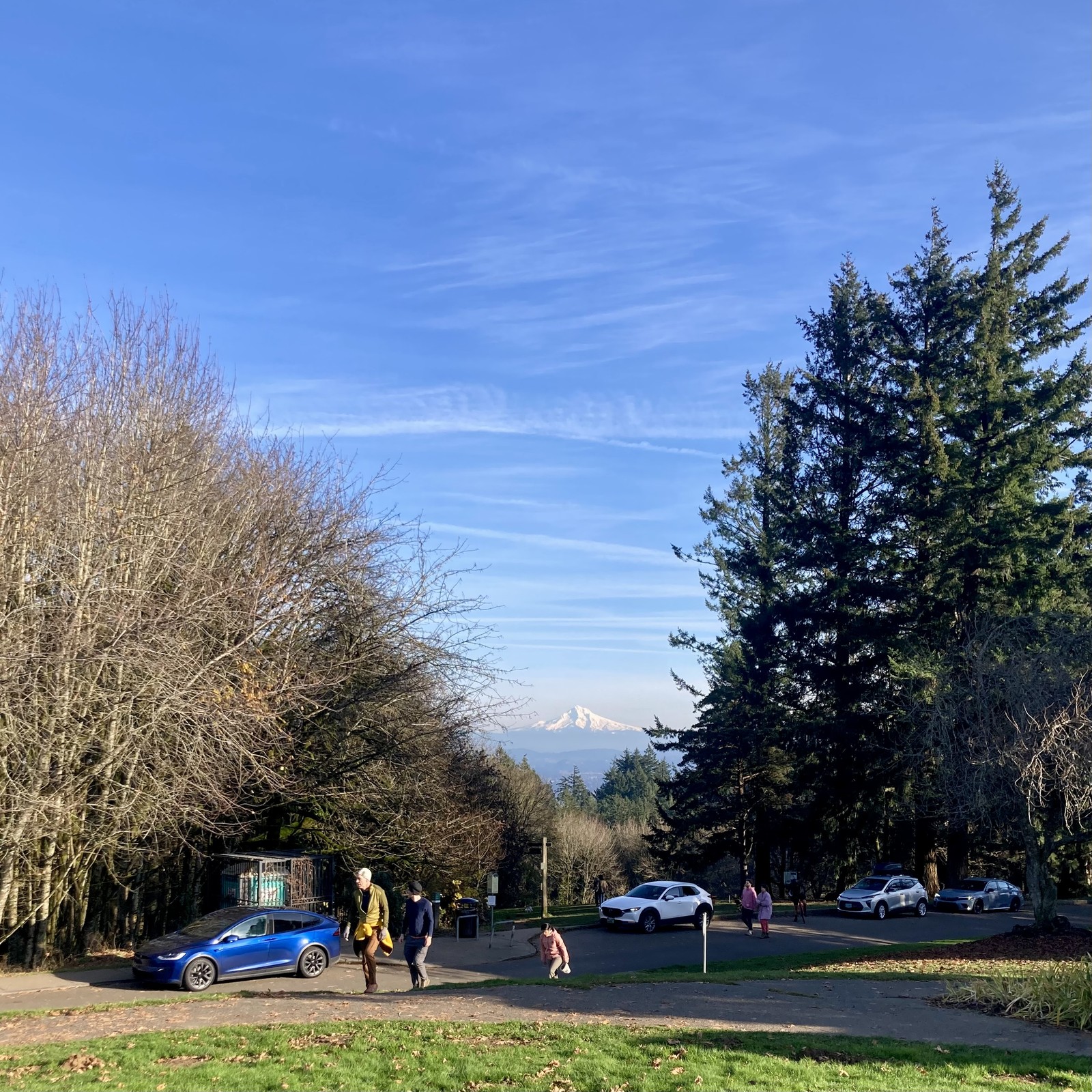 Crisp, clear, still air; brilliant blue sky; grass bright green. Busy day at the park! Several people walking uphill into the afternoon sun. Mt. Hood glows with early season snow