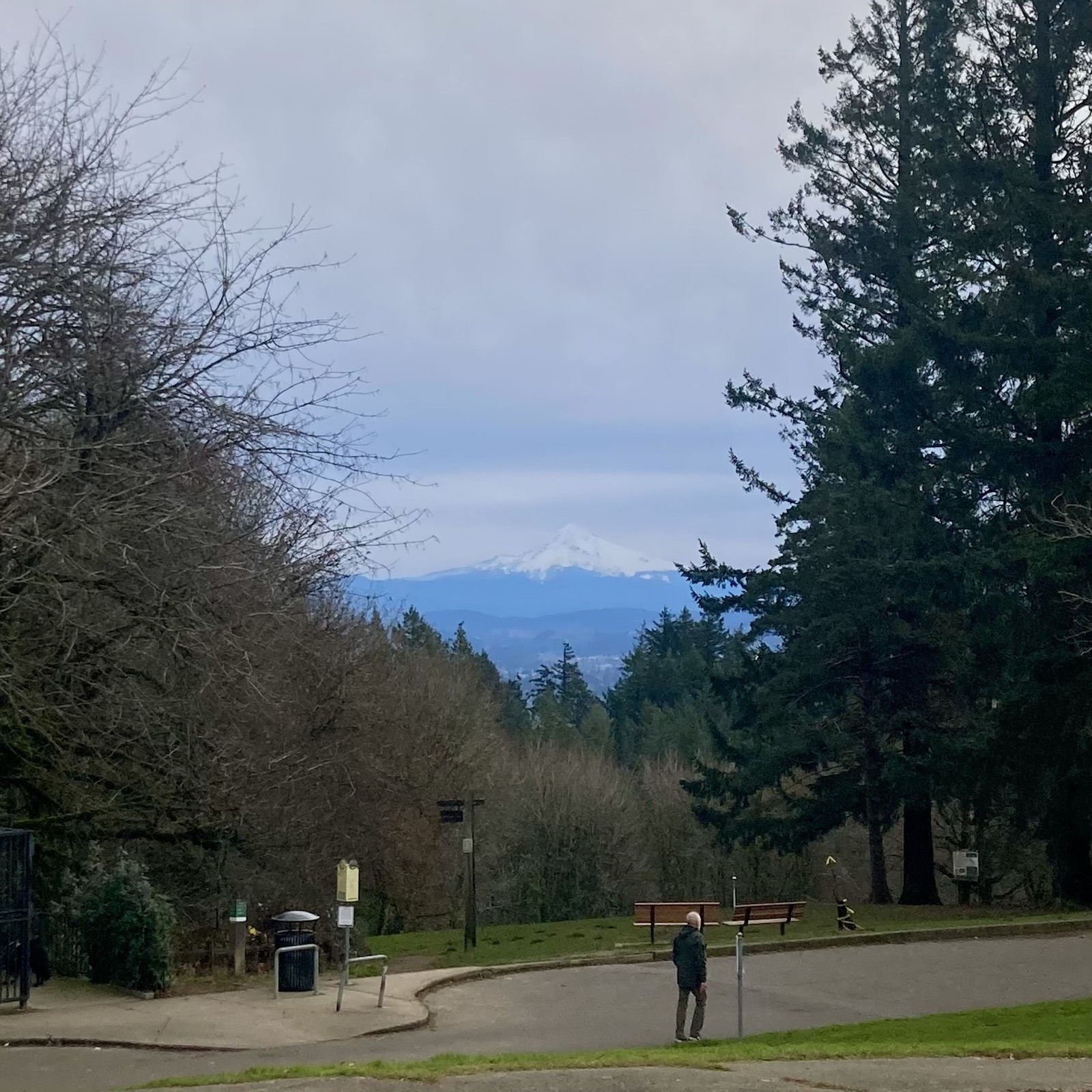 High deck of smooth silvery clouds are well above Mt. Hood, which shimmers in the dim winter daylight