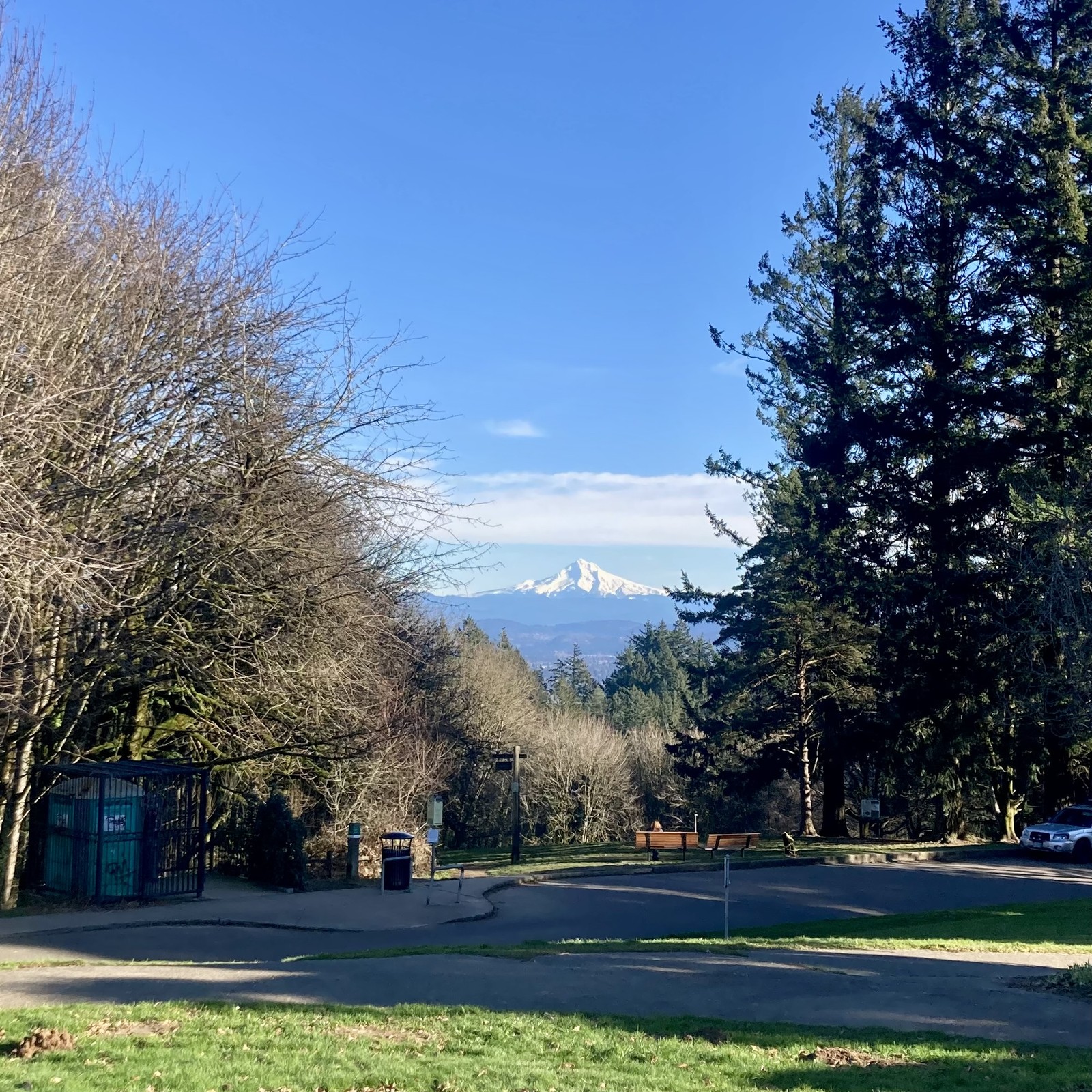 It’s probably a bluebird day on the mountain. Mountain stark white with snow against a blue sky. Grass in the foreground green. Exceptionally clear air