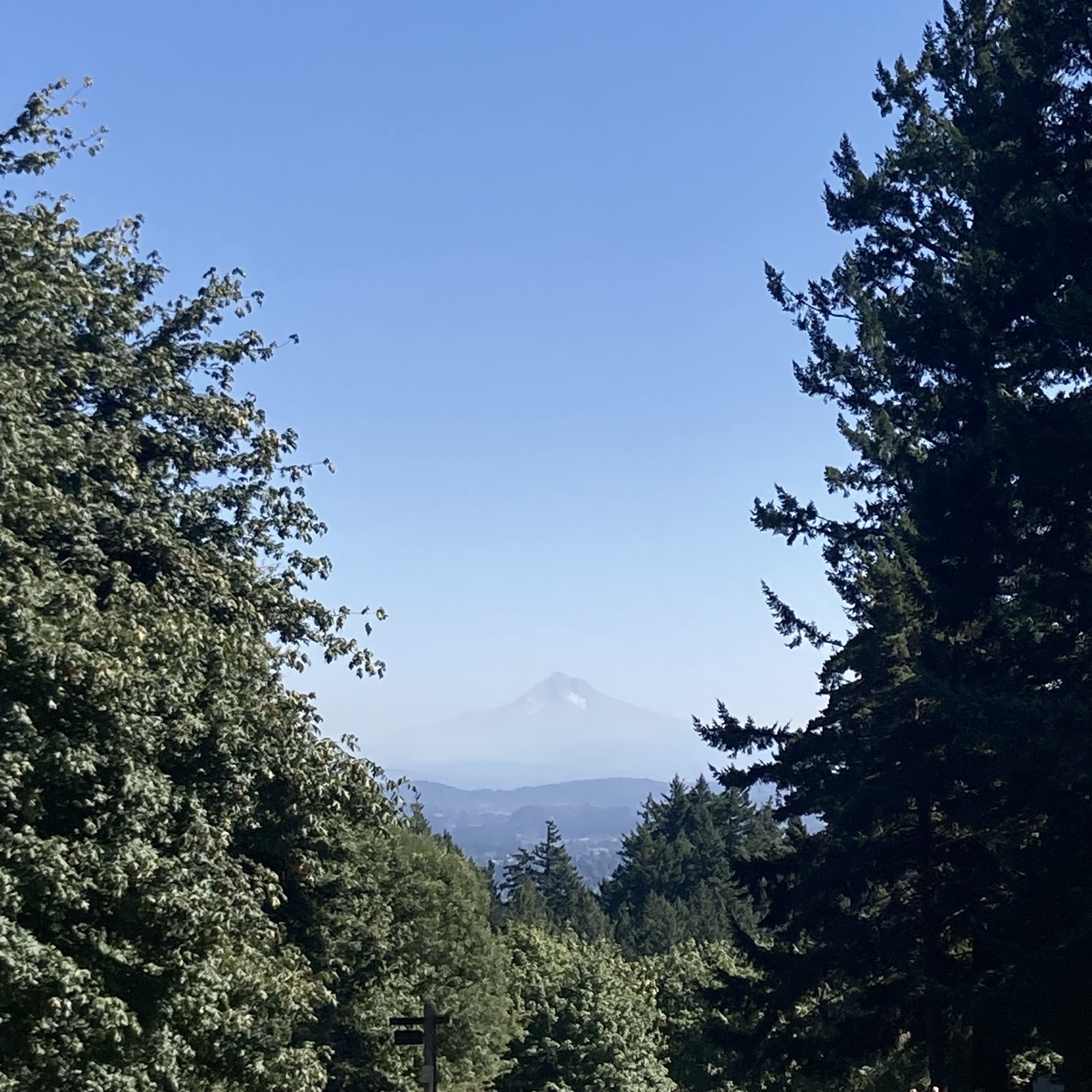 Mount Hood as seen from Council Crest on a warm late summer day. There is very little snow left on the glaciers