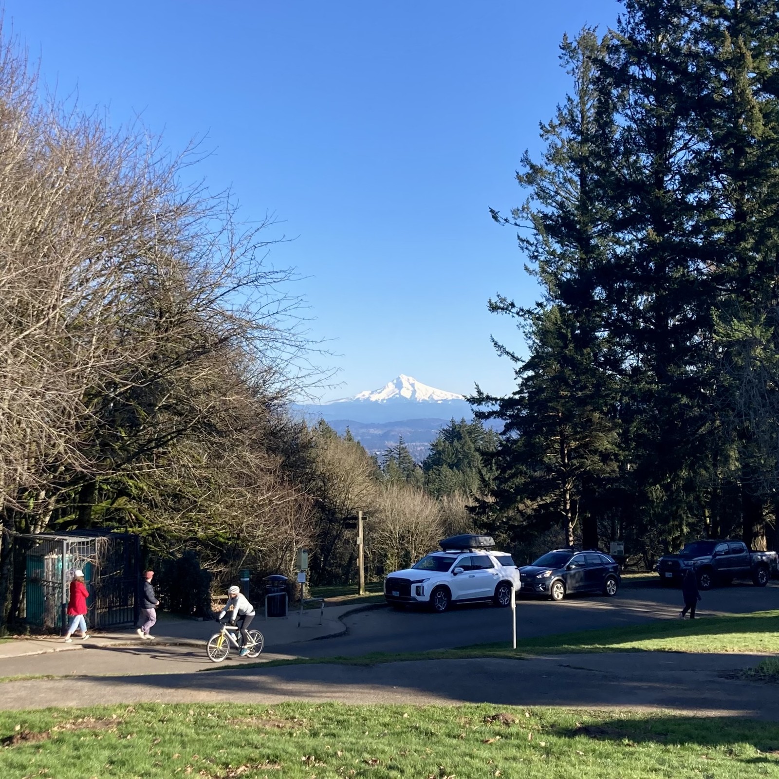 A busy day on Council Crest. In the foreground are several parked cars, people walking, and a cyclist. Sky overhead DEEP CLEAR BLUE. On the horizon Mt. Hood sparkles with fresh snow