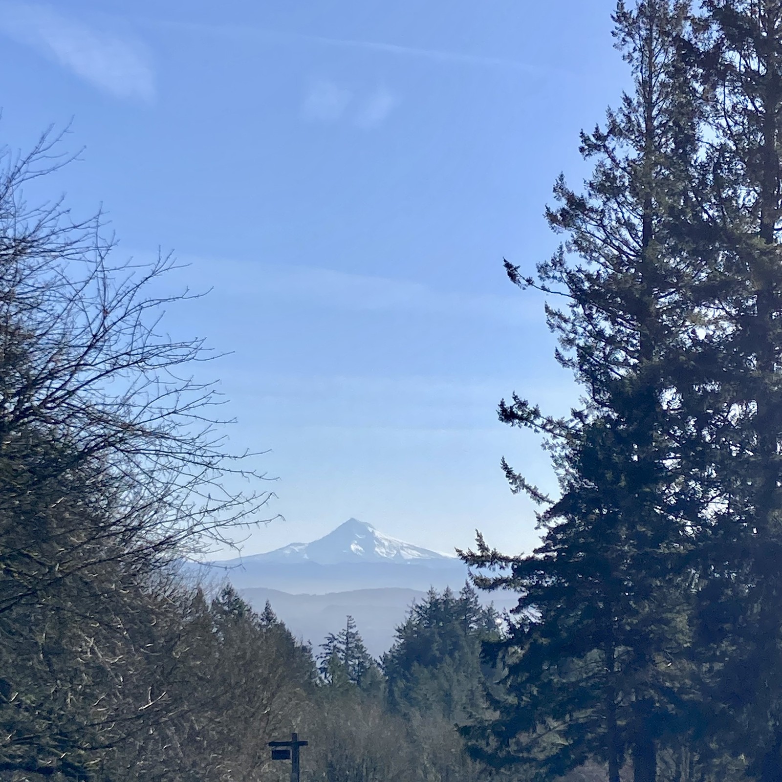 Mt. Hood lovely with snow on an early clear “false̦” spring morning