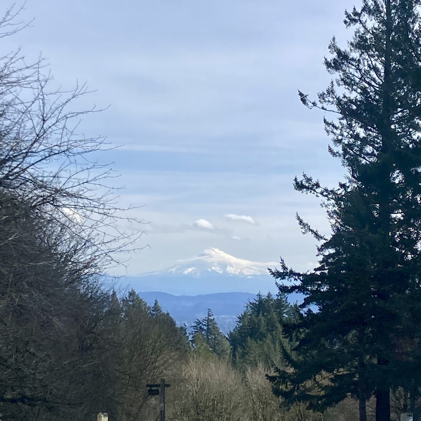 A single cloud wraps the top of Mt. Hood like a blanket