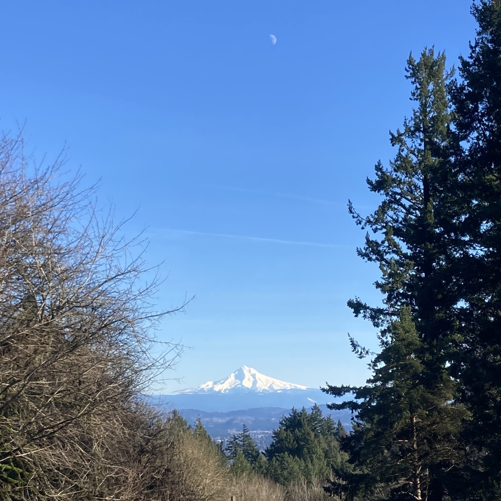 View from Council Crest toward Mt. Hood, which is NOT visible.