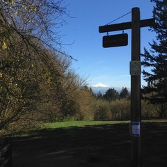 View from Council Crest toward Mt. Hood, which is visible
