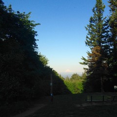 View from Council Crest toward Mt. Hood, which is visible