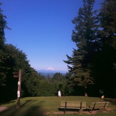 View from Council Crest Park toward Mt. Hood, which is visible under a deep blue summer sky. About 100' distant two people are talking, and a dog sniffs the ground