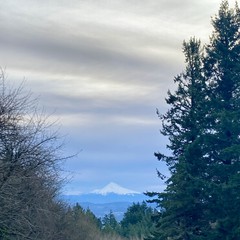 View from Council Crest toward Mt. Hood, which is visible.