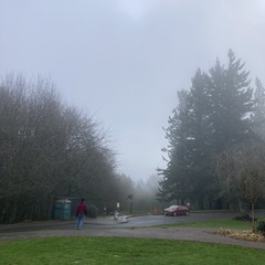 Heavy fog and low wet clouds obscure Mt. Hood. in the near mid ground a person in a maroon sweatshirt walks toward a similarly-colored car