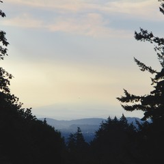 Mt. Hood as seen from a hill in Portland OR about 2 hours after sunrise. The sky is a beautiful but unnatural yellowish green color. High altitude wildfire smoke obscures the top of the mountain, but the air below is surprisingly clear. At a great distance an airplane is silhouetted against the mountain.