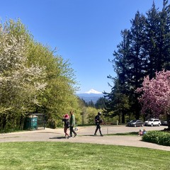 Mt. Hood snowy white under a brilliant blue sky. The park is justifiably busy: In the foreground one couple is walking downhill, another is seated on the lawn admiring the view, and a longboard skater is walking up the path.