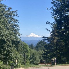 Three people stand near some park benches at the top of the tallest hill in Portland, OR, gazing toward Mt. Hood, which is very snowy, on a hot early June day